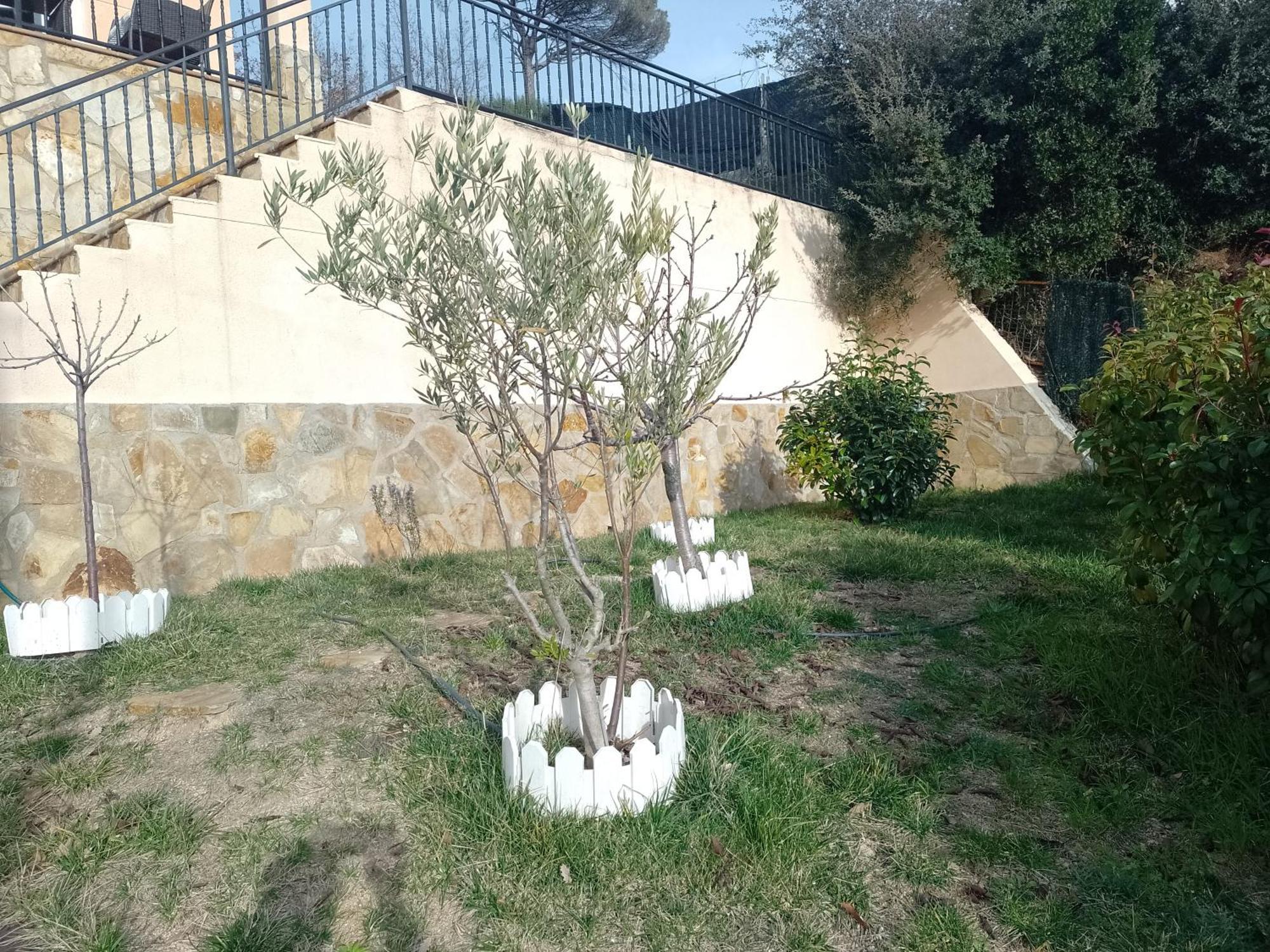 Gran Estudio De 50M2 Cerca Costa Brava Vidreres Kültér fotó